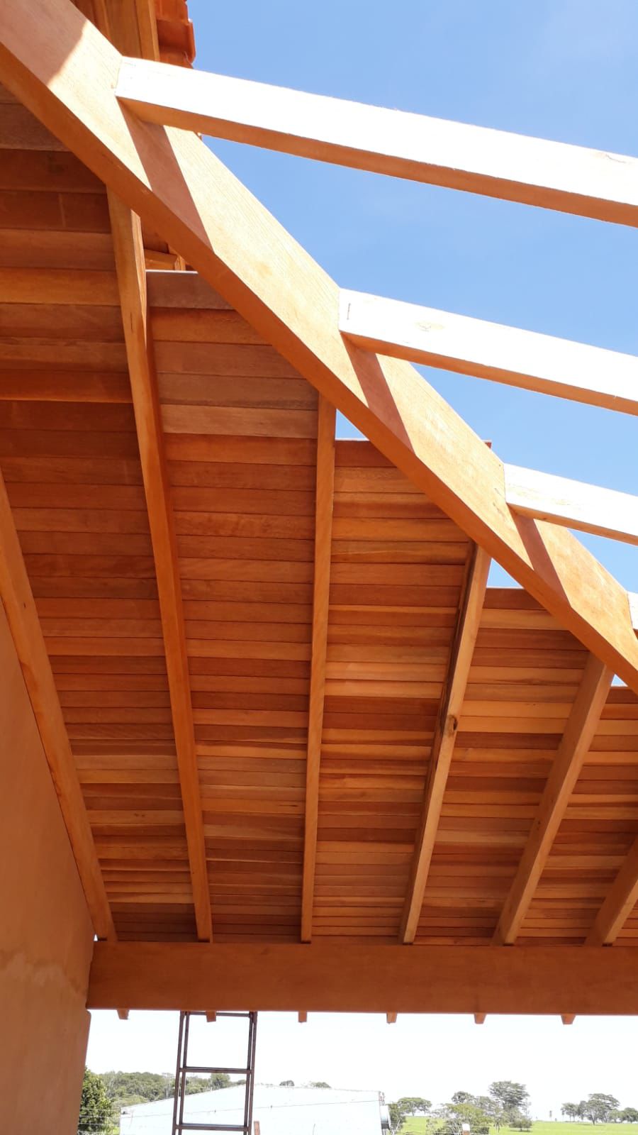 whatsapp image 2025 06 30 at 10.02.14