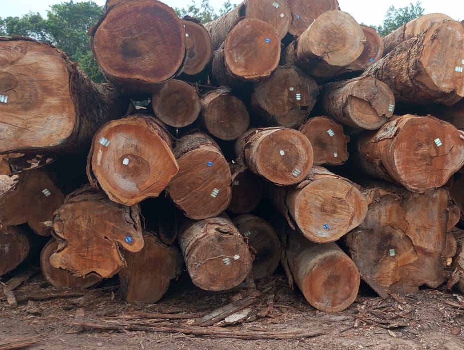 whatsapp image 2025 07 03 at 13.20.36