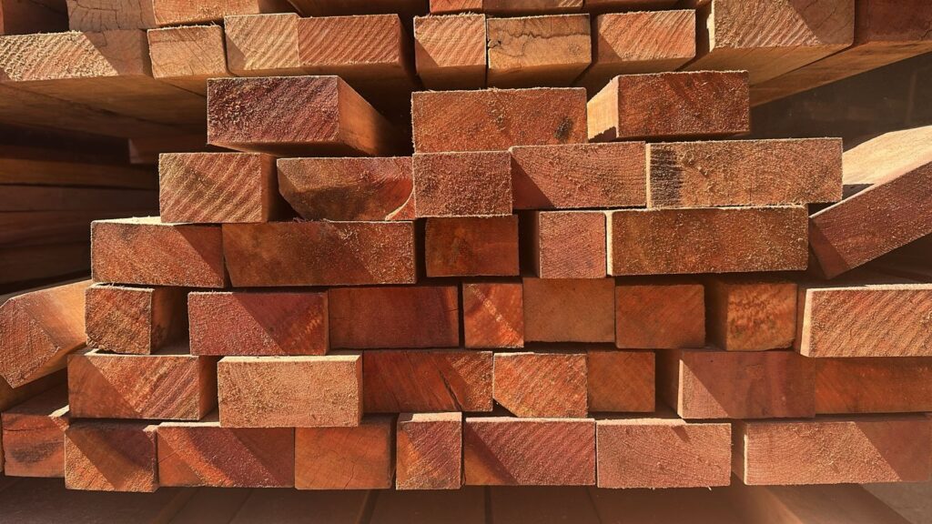 whatsapp image 2025 07 03 at 13.31.56